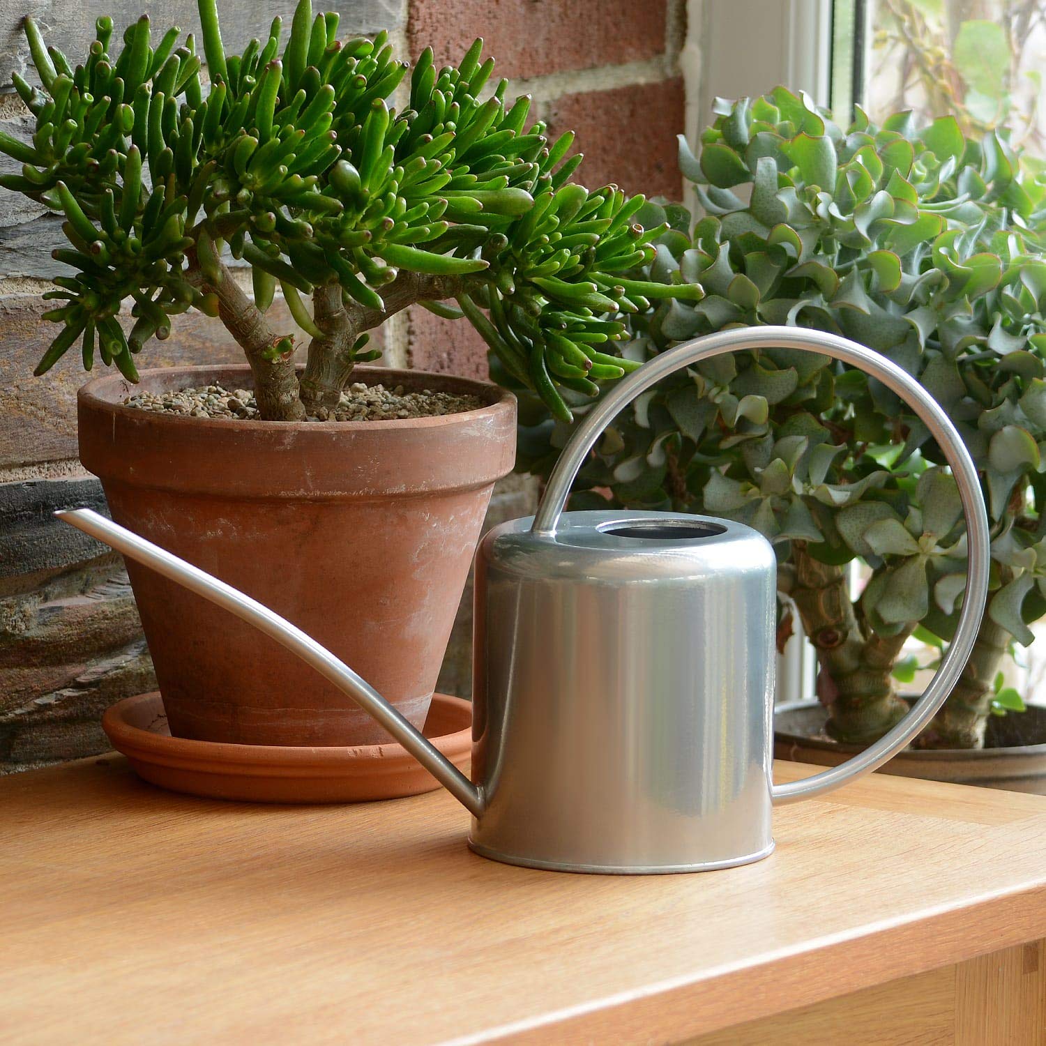 CKB LTD Silver Coloured 1.4L Indoor Watering Can - Galvanised Powder Coated Steel - For Houseplants Contemporary Metal Design With Narrow Spout And High Handle (Silver)