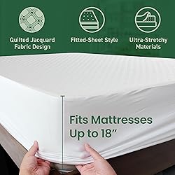 SafeRest Sleepure Waterproof Mattress Protector