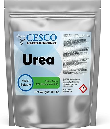 Some Of How To Grow Roma Tomatoes