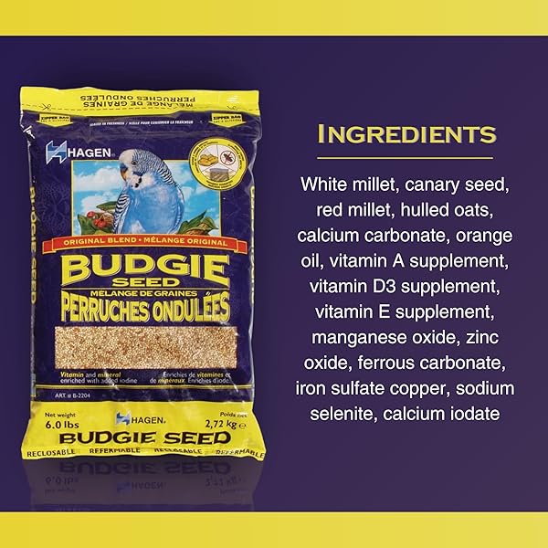 HAGEN PARAKEET/BUDGIE STAPLE WHITE MILLET BIRD SEED – PREMIUM BLEND, NUTRITIONALLY BALANCED, FORTIFIED WITH VITAMINS & MINERALS, DUST-FREE MIX FOR BUDGIES, 6 LB BAG