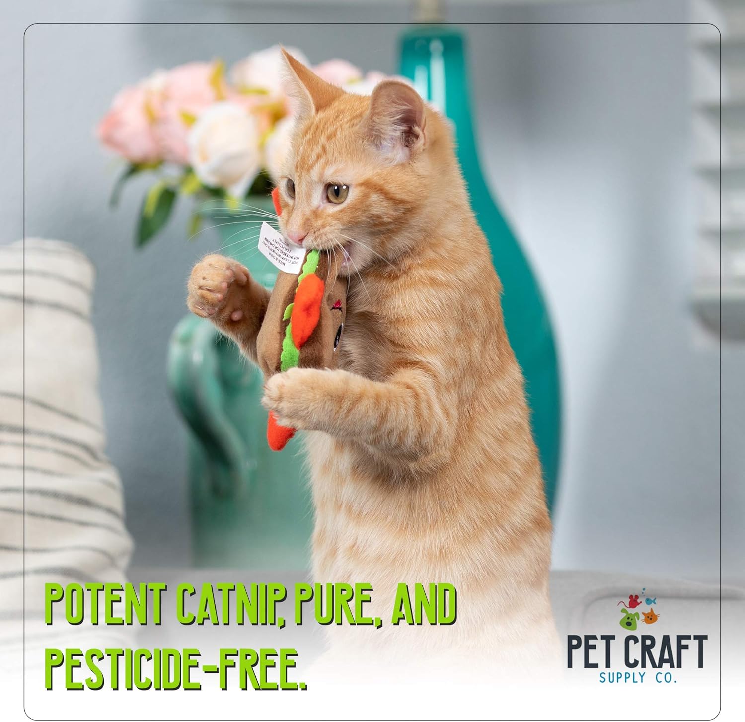 Pet Craft Supply Silly Snacks and Funny Food Crinkle Cuddling Catnip and Silvervine Toys - Interactive Cat Toys Alternative to Mice Fish Feathers Cat Toy : Pet Supplies