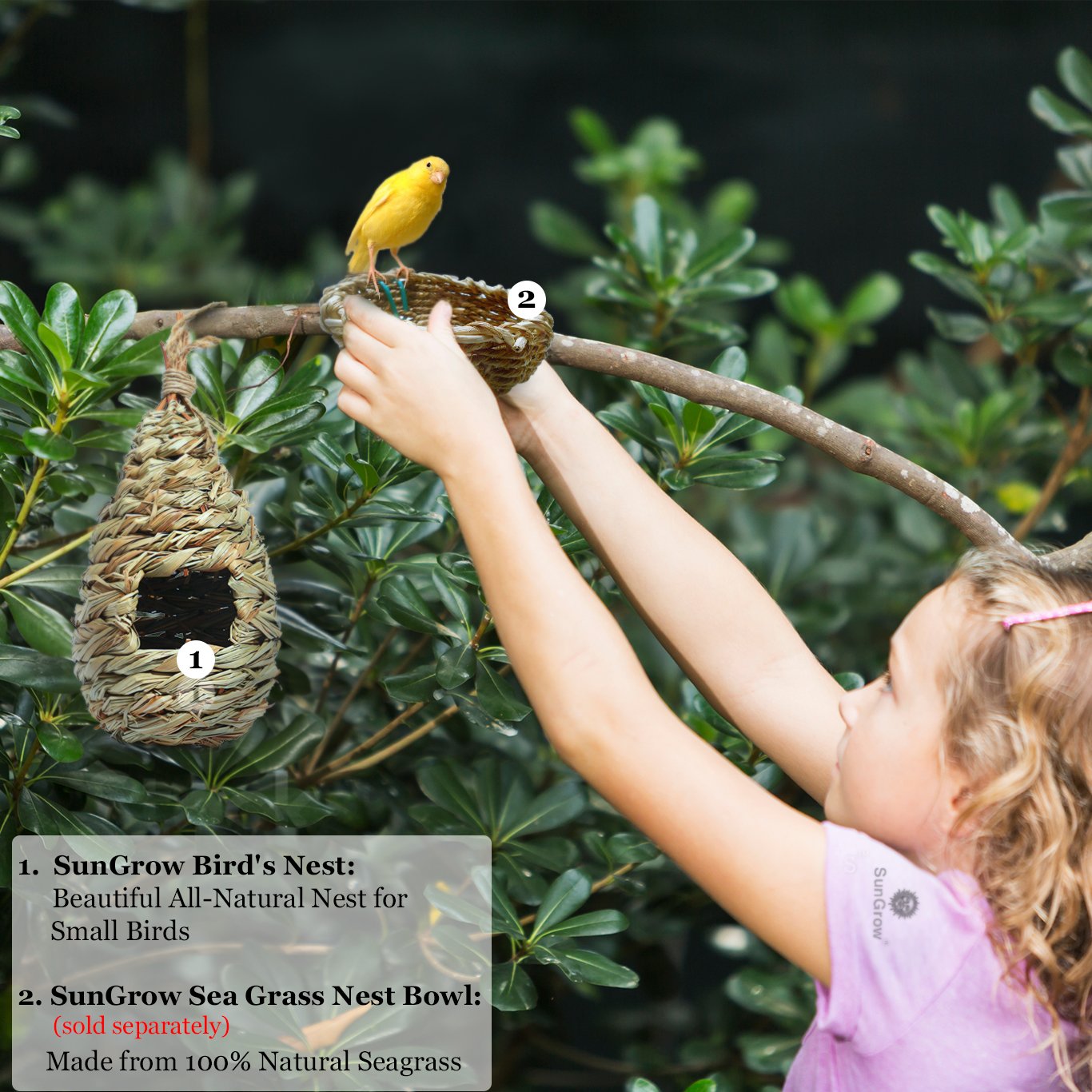 Hand-Woven Teardrop Shaped Grass Bird Hut by SunGrow - 100% Natural Fiber - Cozy resting place for birds - Provides shelter from cold weather - Bird hideaway from predators - Ideal for Finch & Canary