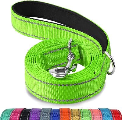 Joytale Double-Sided Reflective Dog Leash 6 5 4 ft Green Padded Handle Nylon