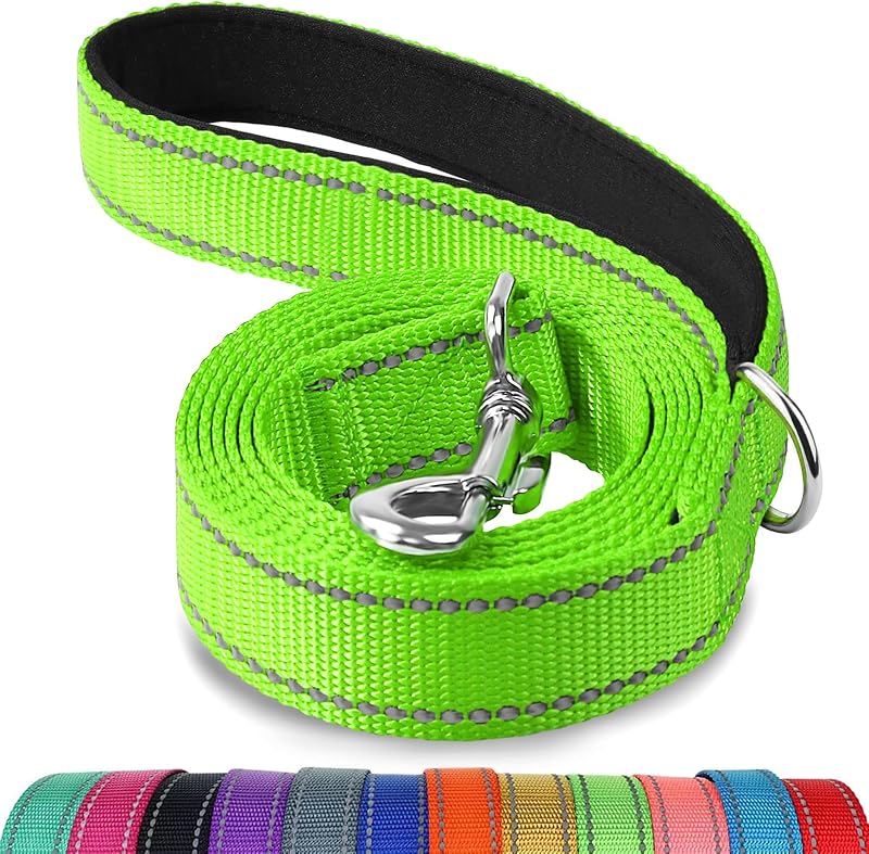 Joytale Double-Sided Reflective Dog Leash 6 5 4 ft Green Padded Handle Nylon