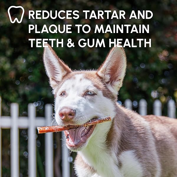 DOWNTOWN PET SUPPLY BULLY STICKS – 6″ REGULAR – 12 PACK -SOUTH AMERICA & TURKEY