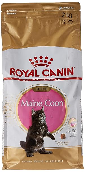Royal Canin Kitten Maine Coon 36
