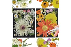 CONVELIFE Dried Flowers, 40Pcs Natural Pressed Dried Flowers and Leaves, Pressed Flowers with Tweezers for Scrapbooking DIY Art Crafts, Epoxy Jewelry, Candle, Soap Making, Nails Decor
