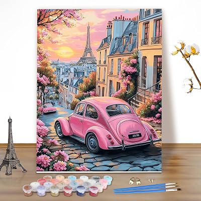 Malen Nach Zahlen Erwachsene Paris bei Sonnenuntergang, DIY Set Handgemalt Ölgemälde Kit für Anfänger Mit 3 Pinseln und Acrylfarbe, Geschenke und Home Haus Deko 40x50cm(Ohne Rahmen)