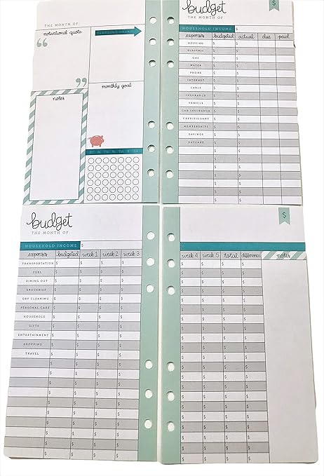 best budget planner on amazon
