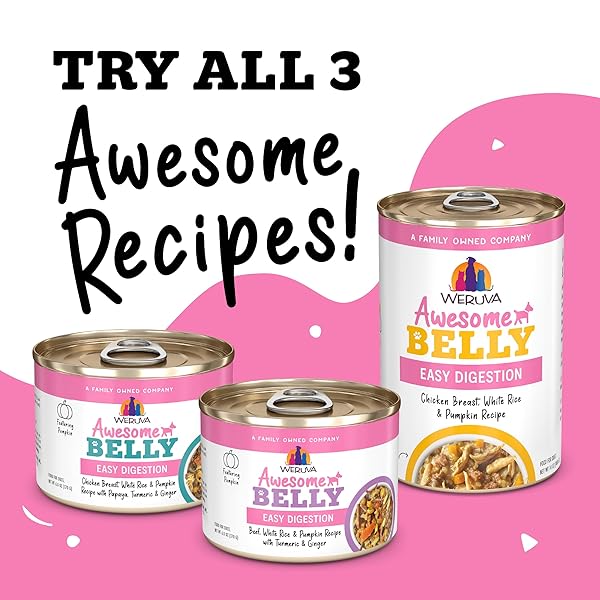 AWESOME BELLY WET DOG FOOD, SENSITIVE STOMACH SUPERHERO VARIETY PACK, 14OZ CAN (PACK OF 9)