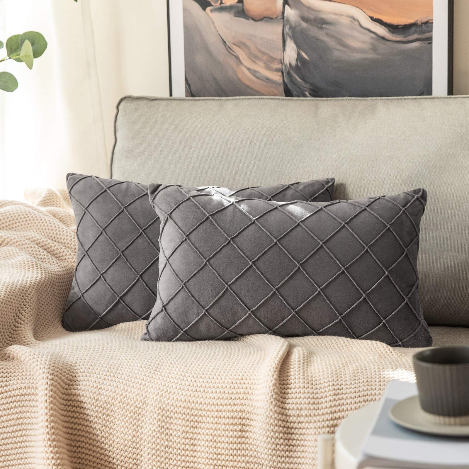 MIULEE Pack of 2 Velvet Cushion Covers Home Decoration with Square Pattern Throw Pillow Covers Super Soft Modern Smooth Washable for Living Room Bedroom Sofa Dark Grey 30x50cm 12x20 Inch