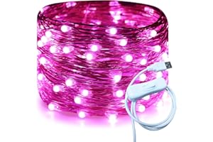 RUICHEN Silver Wire 33 Ft 100 LED USB Fairy String Lights with On/Off Switch (Pink)