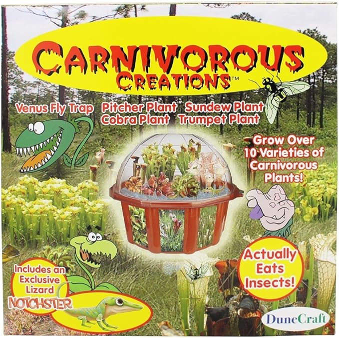 Amazon Com Dunecraft Carnivorous Creations Dome Terrarium Toys Games