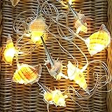 HDNICEZM Natural Conch LED String Lights, 10 Ft 10