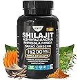 8-in-1 Himalayan Shilajit Capsules – 16,200mg Daily Dose | Ginkgo Biloba 9000mg, Panax Ginseng 4000mg, Rhodiola 2000mg, Ashwa