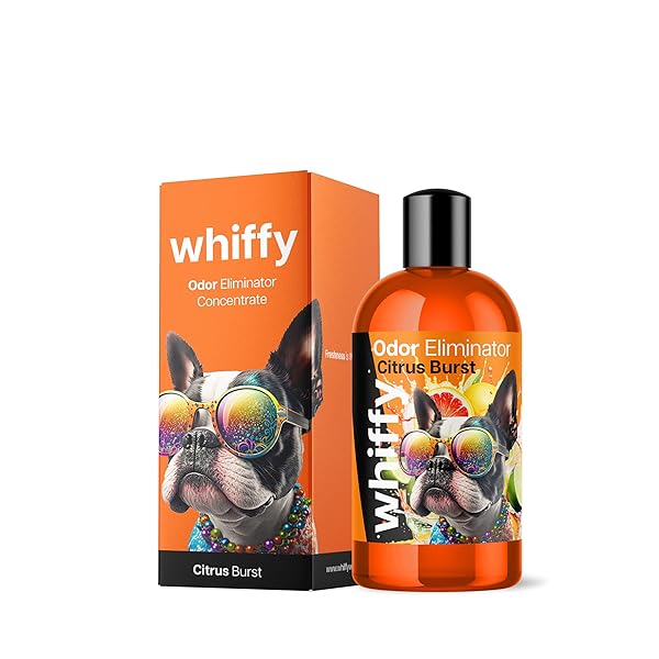 WHIFFY CITRUS PET ODOR ELIMINATOR FOR HOME, CARPETS, FURNITURE, AND MORE – USE ON DOG/CAT PEE SMELLS 8OZ CONCENTRATE BOTTLE