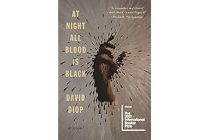 At Night All Blood Is Black: A Novel
