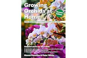Growing Orchids at Home: The Beginner’s Guide to Orchid Care