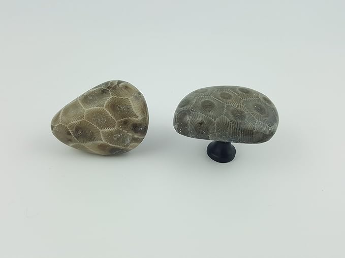 Petoskey Stone Drawer And Cabinet Knobs Gorgeous Michigan State
