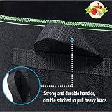 LATERN 6 Pack 5 Gallon Grow Bags, Heavy Duty Nonwoven Fabric Pots view 3