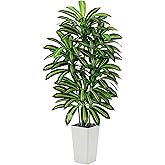 Artificial Dracaena Tree - 6FT Tall Fake Plants with White Tall Planter - Artificial Plants Indoor Floor Plant in Pot - Large Tropical Fake Yucca Potted Tree for Home Office Living Room Decor