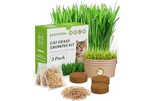 Cat Grass for Indoor Cats - Cat Grass Seeds Kit - Organic Growing Kit with High Germination Organic Wheat Seeds, Planting Too