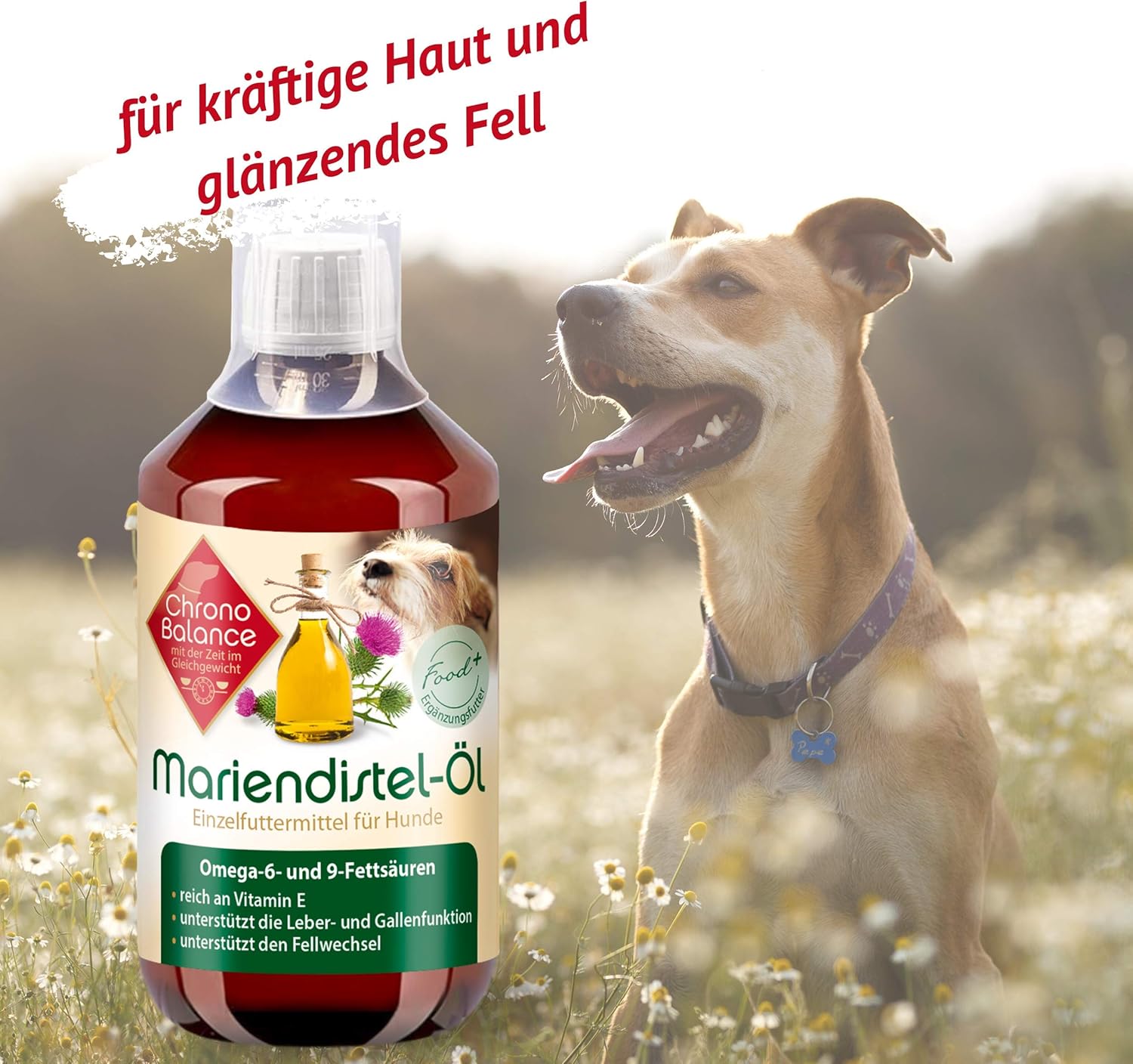 Chronobalance Huile De Chardon Marie Pour Chiens Complement Alimentaire Naturel Favorise Le Metabolisme Riche En Vitamine E Omega 6 Et Omega 9 500 Ml Amazon Fr Animalerie