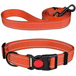Reflective Dog Collar and Leash Set with Safety