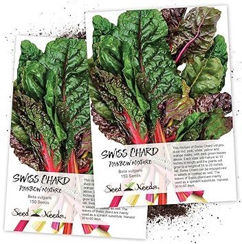 5 Color Rainbow 100 Heirloom Non Gmo Organic Seed Free Shipping Swiss Chard 5 Color Rainbow 100 Heirloom Non Gmo Organic Seed Free Shipping Swiss Chard