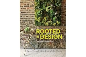 Rooted in Design: Sprout Home's Guide to Creative Indoor Planting