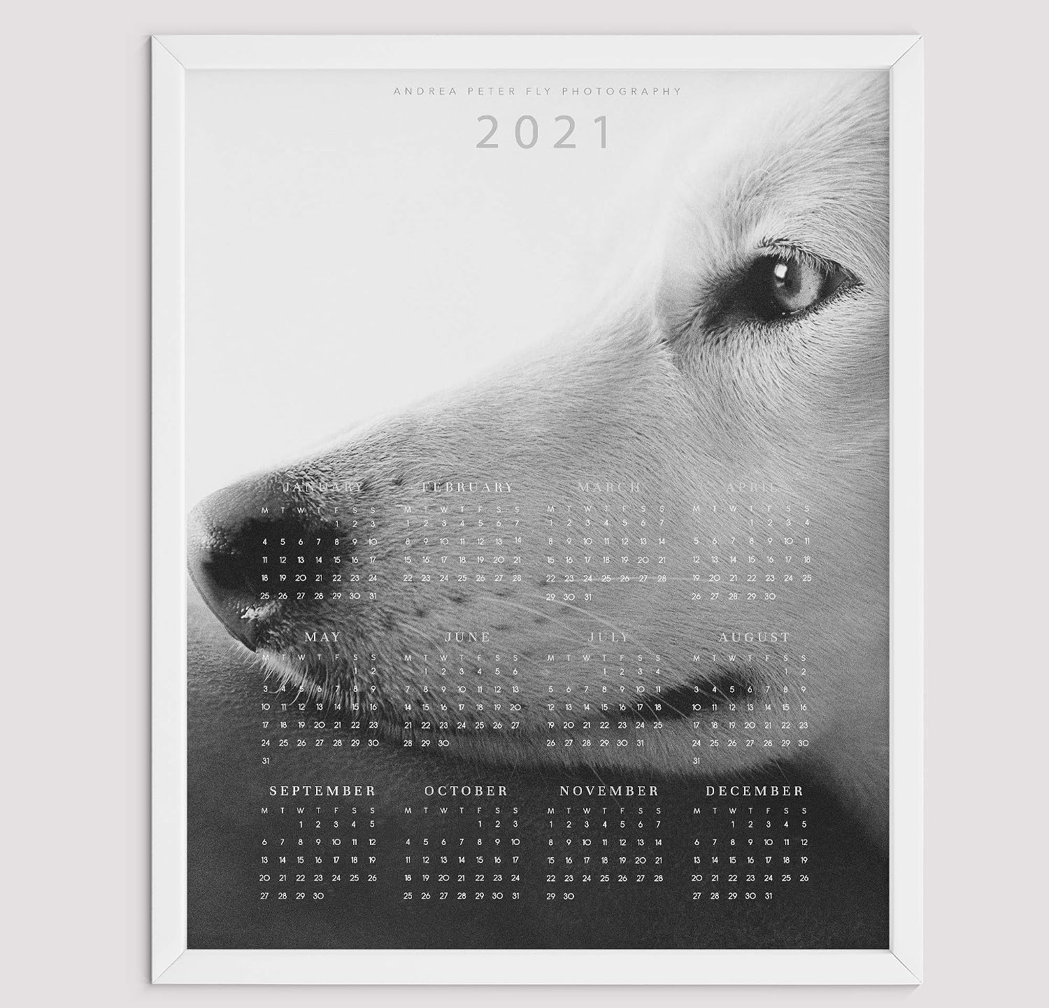 Amazon German Shepherd Dog Wall Calendar 2021 Black And White Calendar Poster One Page Amazon German Shepherd Dog Wall Calendar 2021 Black And White Calendar Poster One Page
