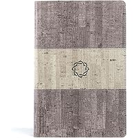 Tiny Bear's Bible (The Story of God's Great Love): Lloyd