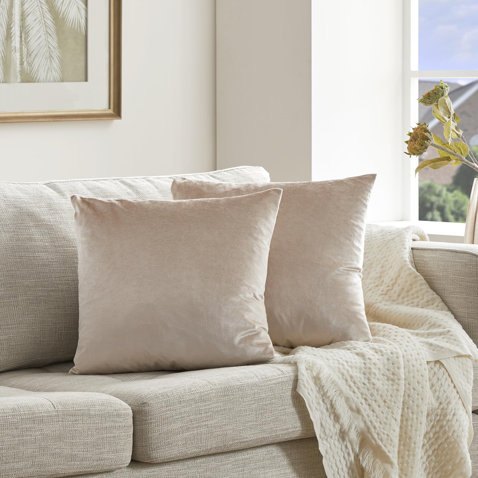 GIGIZAZA Velvet Cushion Covers 16 x 16 inches Champagne Decorative Throw Pillowcases 40 x 40 cm for Sofa Bedroom Living room 2 pack