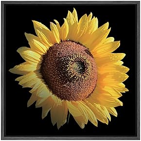 SIGNWIN Framed Canvas Wall Art Yellow Sunflower Floral...
