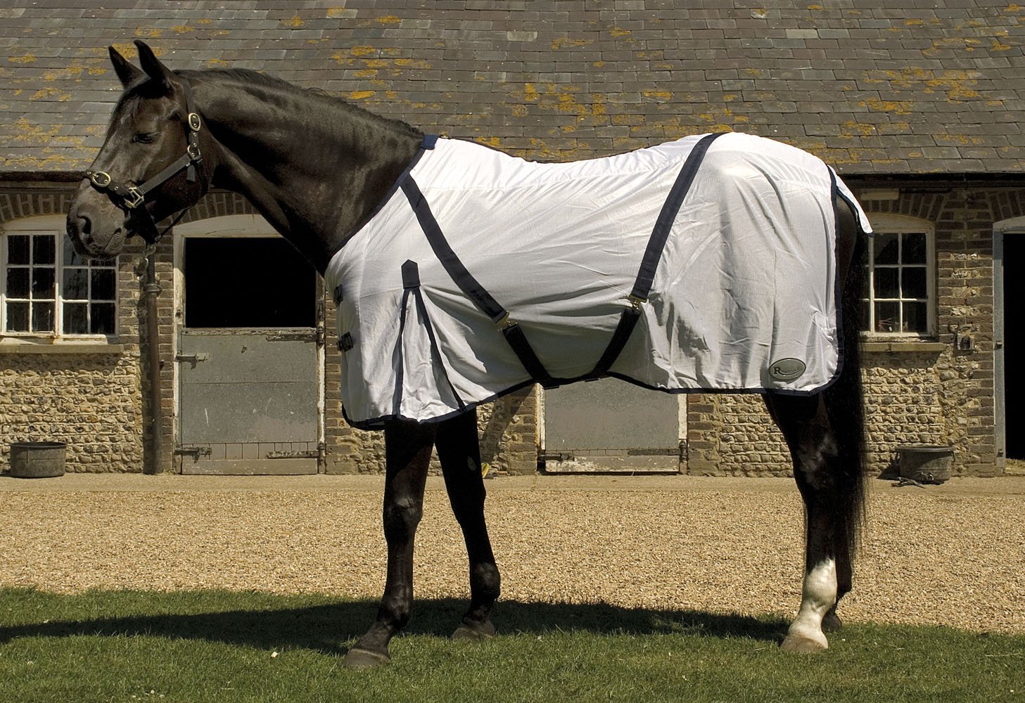 Rhinegold Fly Rug With Neck Cover-5/6-White