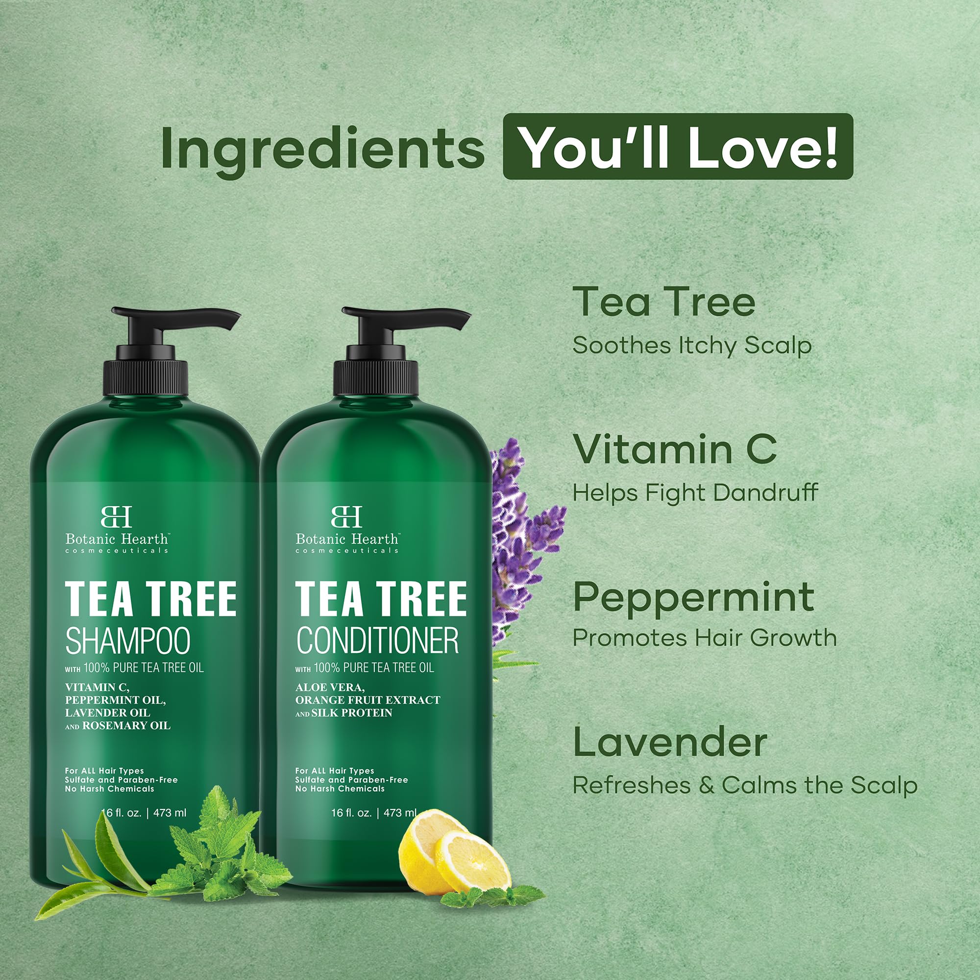 Botanic Hearth Tea Tree Shampoo And Conditioner Set | With 100% Pure Tea Tree Oil, For Itchy And Dry Scalp, Sulfate/Paraben Free | For Men And Women | 16 Fl Oz Each