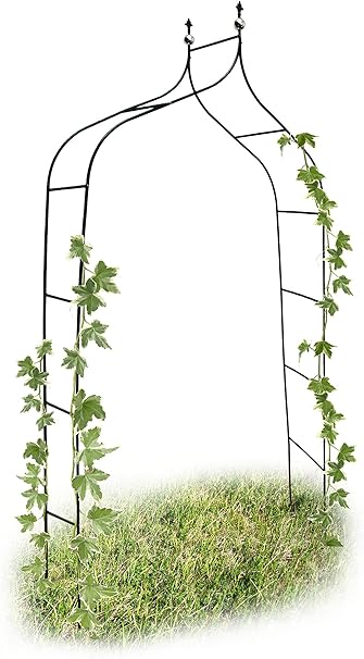 Relaxdays 10017904 - Arco para trepadoras, 1.70 x 2.4 m, Color ...