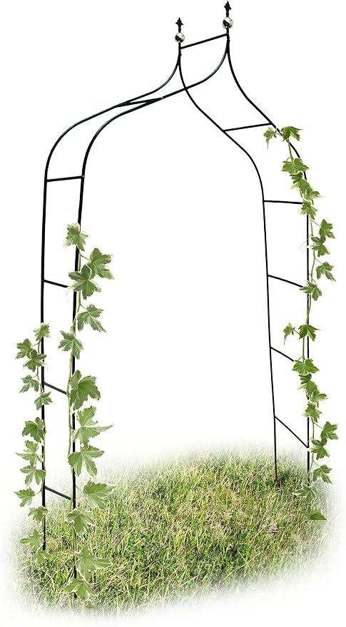 Relaxdays 10017904 - Arco para trepadoras, 1.70 x 2.4 m, Color ...