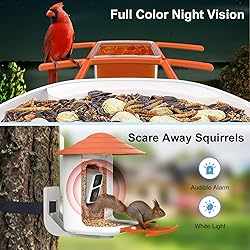 birdsnap® TUC- Bird Feeder with Camera 2K Live