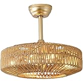 OPKMB 20 inch Boho Ceiling Fan with Light, 6 Speeds, Remote Control, Timer Function, Bladeless Design, Gold