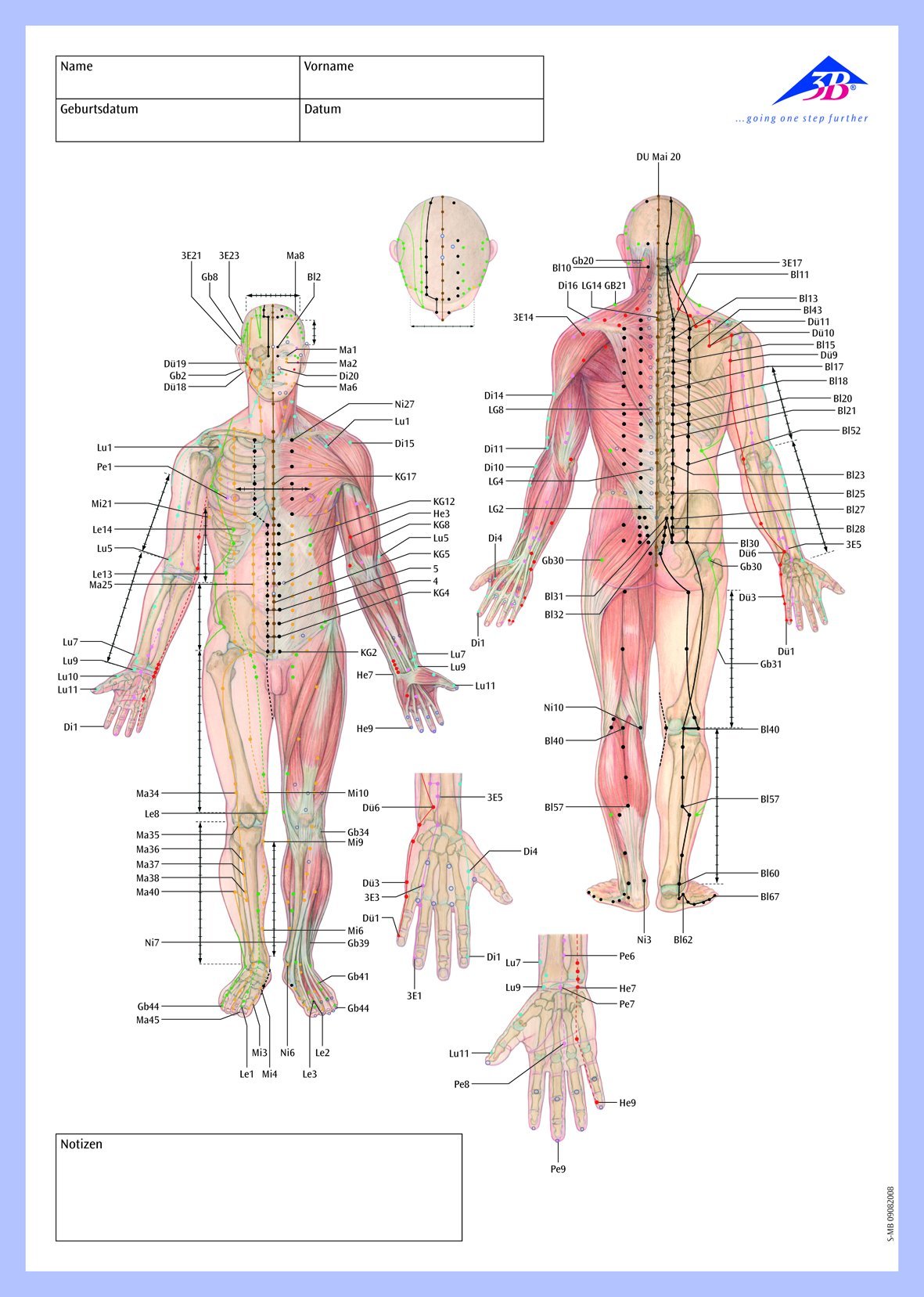 3B Scientific Acupuncture Meridian Notepad, German