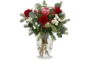 Stargazer Barn - Holiday Cheer Bouquet (Includes Glass Vase) - Fresh Flowers for Delivery - Gift for Anniversary, Birthday, Congratulations, Get Well, Graduation, Sympathy, Christmas