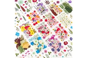 NESCCI 420 Pcs Dried Pressed Flowers for Resin,Real Nature Dried Flowers for Crafts Bulk Dry Flowers Leaves Kit Used for Resin Molds Scrapbooking DIY Art Crafts Candle Soap Making Nails Décor