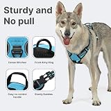 Belababy Dog Harness Small Medium Large No Pull Adjustable Reflective Front view 3