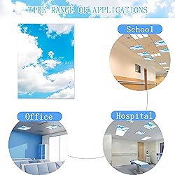 SCWISOAS Fluorescent Light Covers for Ceiling