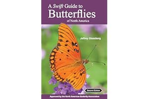 A Swift Guide to Butterflies of North America: Second Edition