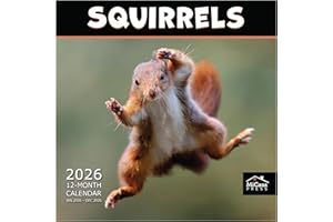 MICASA PRESS MICASA Squirrels 2026 Wall Calendar 12 Month | 12" x 24" Open | Thick & Sturdy Paper | Giftable | Calendar 2026