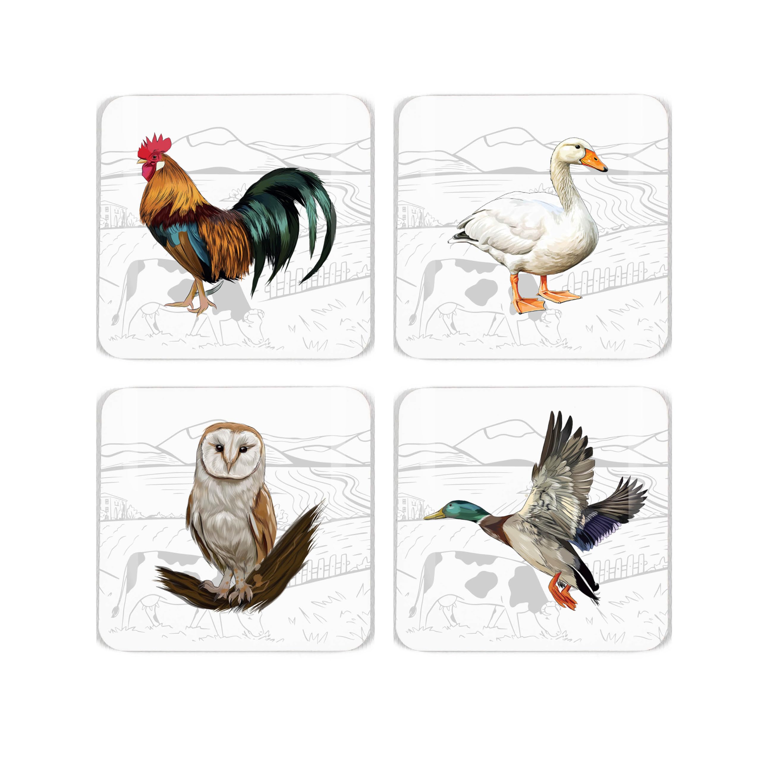 Farmyard Birds Coaster Set - Assorted Farm Animals - Set of Four (4) Square Drinks Coasters