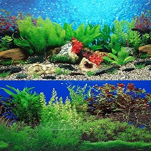 ELEBOX New 20" x 48" Fish Tank Background 2 Sided River Bed & Lake Background Aquarium