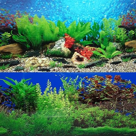 aquarium pet supplies
